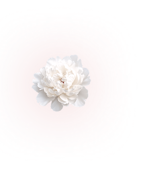 content-img