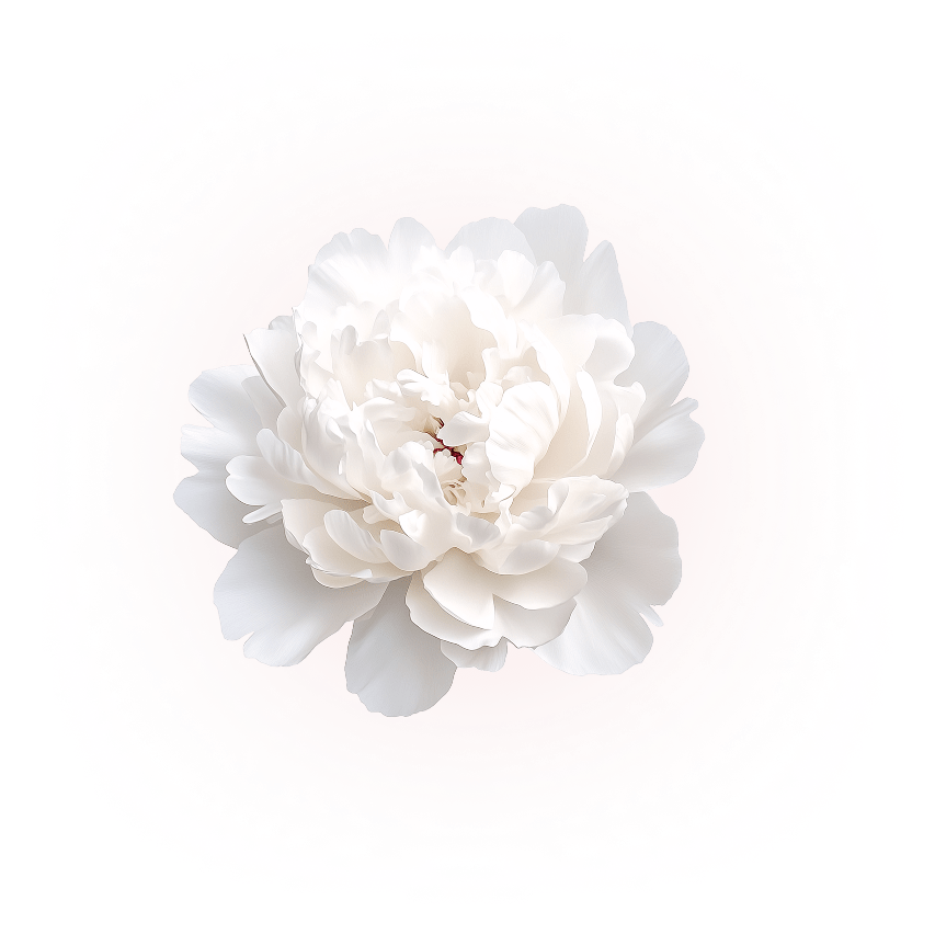 content-img