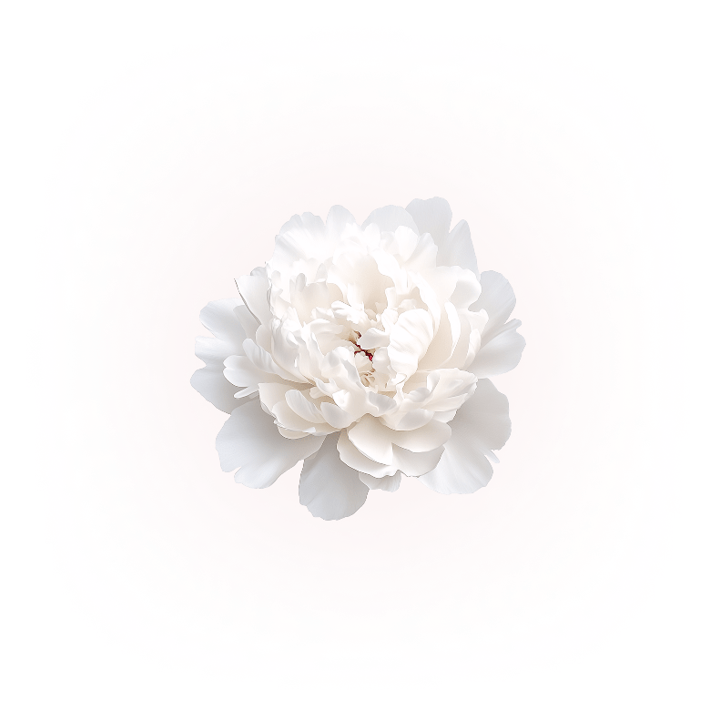 content-img
